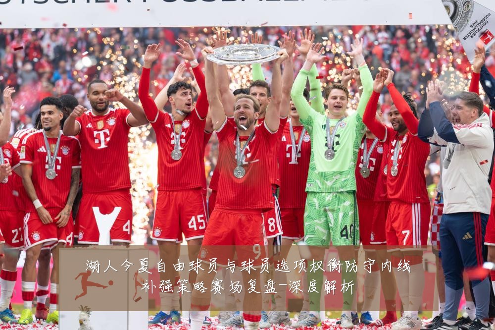 湖人今夏自由球员与球员选项权衡防守内线补强策略赛场复盘-深度解析